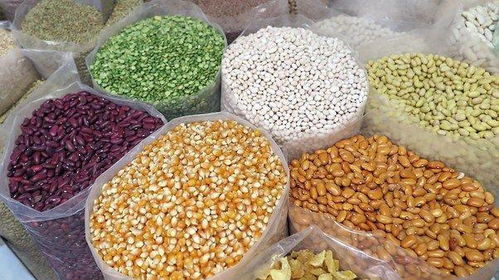 農作物種子價格普漲，農業生產成本承壓——農業農村部數據顯示種子價格同比上漲4%至14%